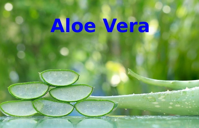 Aloe Vera Natural Remedies for Heartburn