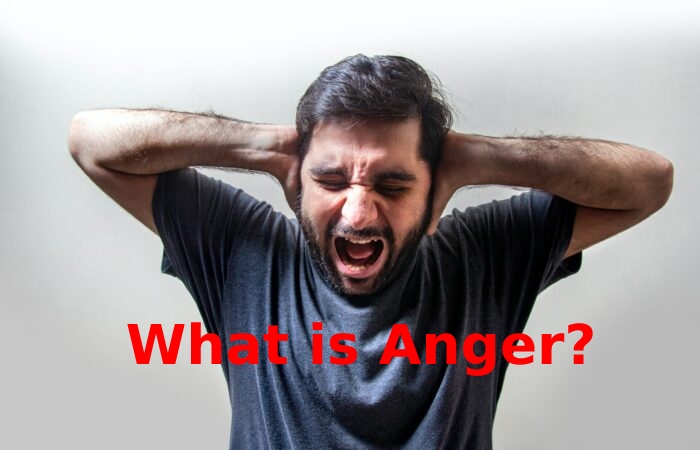 What is Anger_ Anger Issues