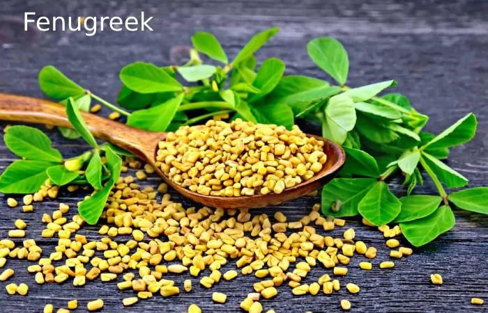 Fenugreek