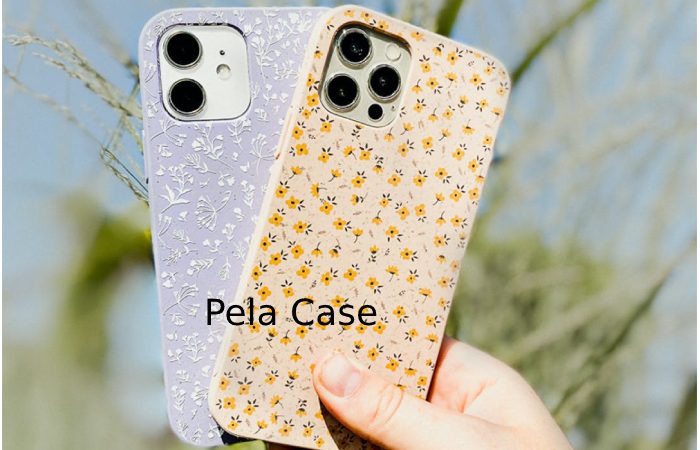 Pela Case